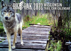 Big Oak 2022 cover