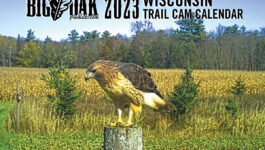 Big Oak 2023 Calendar